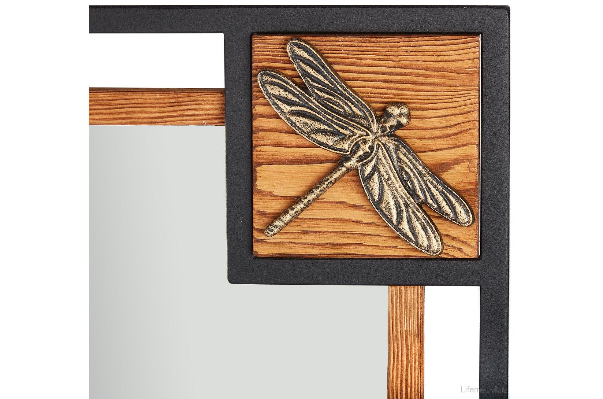 Зеркало Стрекозы V20042