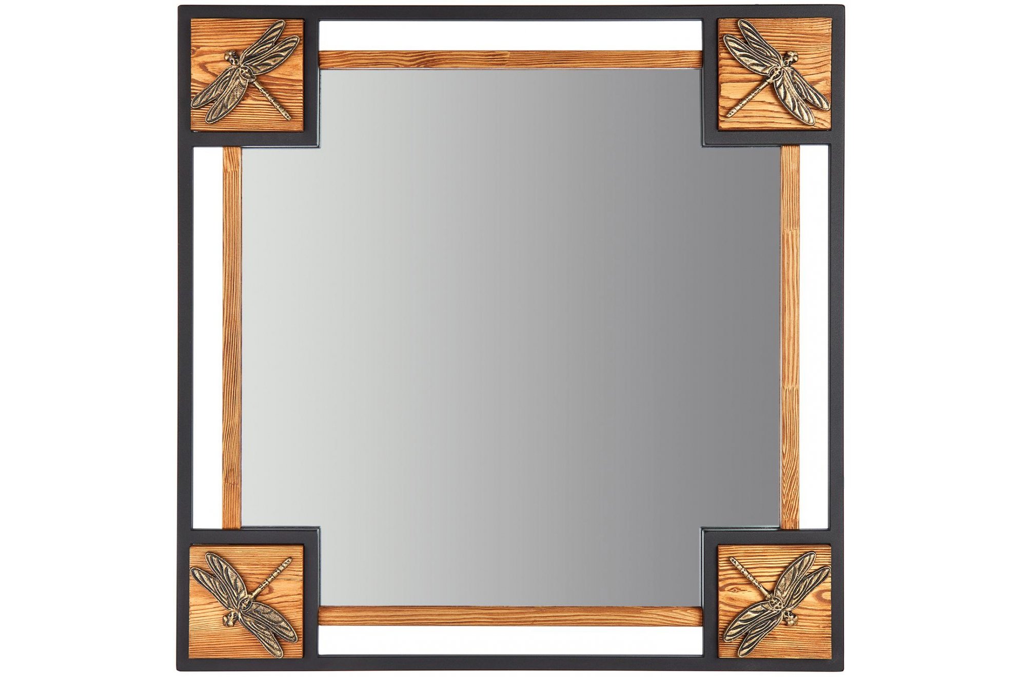 Зеркало Стрекозы V20042