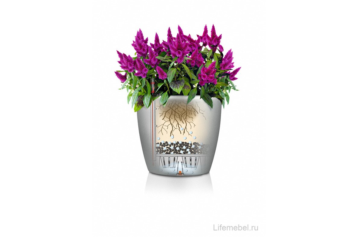 Кашпо Lechuza 13203 CLASSICO Color 28 мускатный