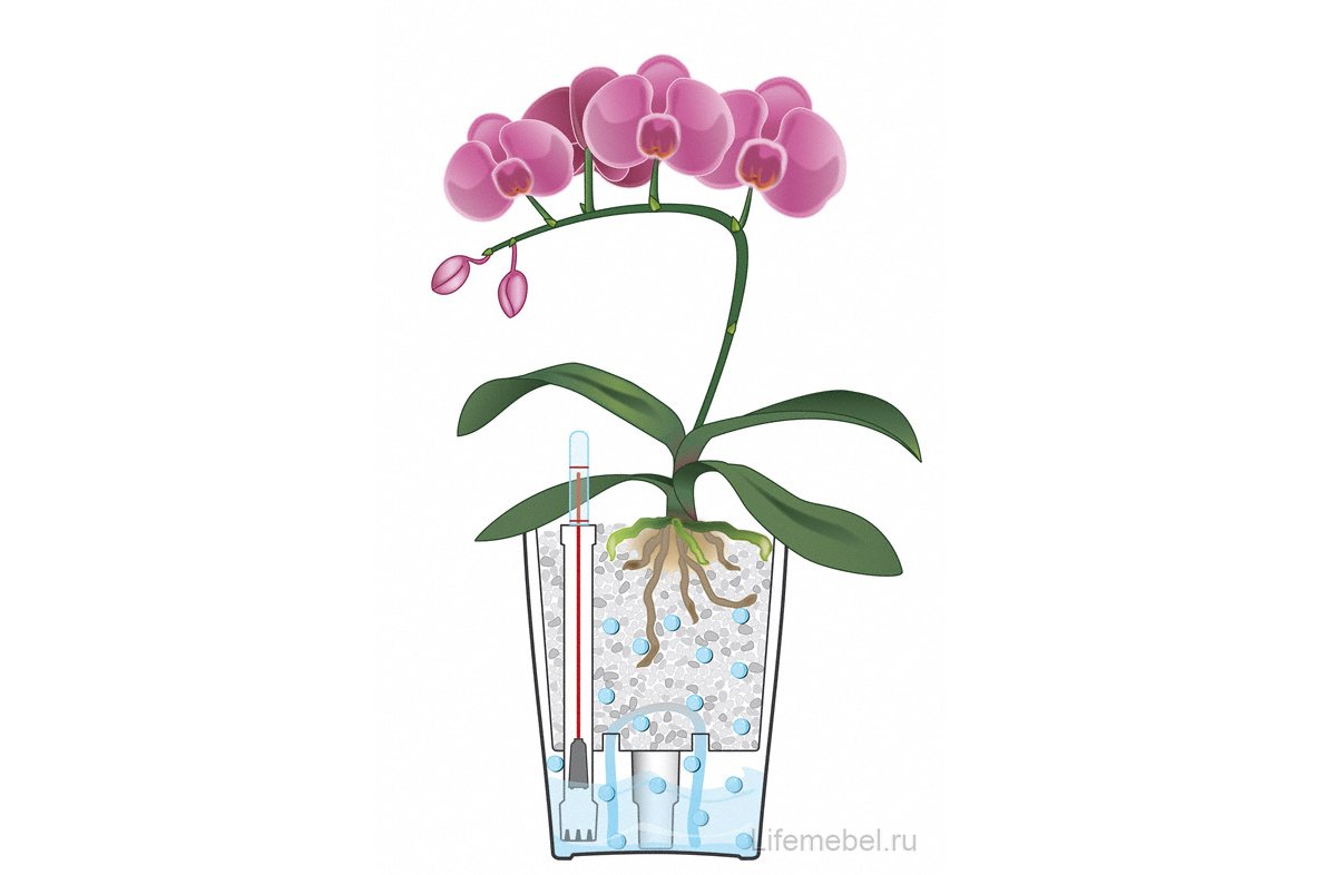 Кашпо Lechuza 14959 MINI-DELTINI серо-коричневый блестящий