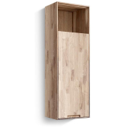 белёный дуб