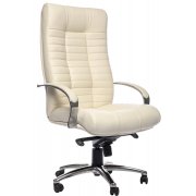 белая экокожа (Oregon 10)