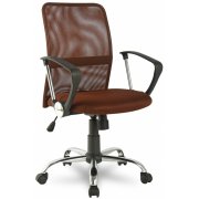 коричневый / хромированный