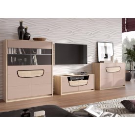 Гостиная Хортен комплектация 1 дуб сонома / мокко глянец