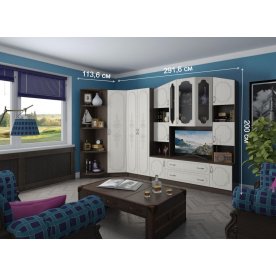 Гостиная Макарена 3-02 венге / дуб беленый