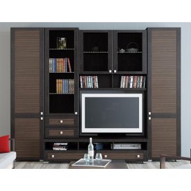 Стенка для гостиной Фиджи (комплектация 10) венге цаво / каналы дуба