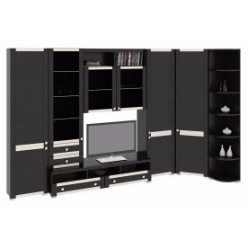 Стенка для гостиной Фиджи (комплектация 13) венге цаво