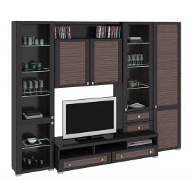 Стенка для гостиной Фиджи (комплектация 30) венге цаво / каналы дуба