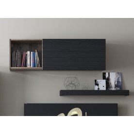 Шкаф навесной Джаггер 1DN