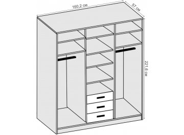 Шкаф-купе арт.010