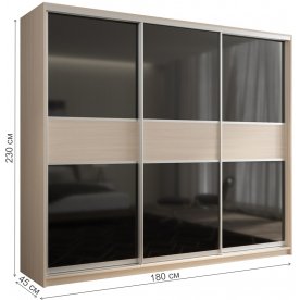 Шкаф-купе Кааппи 12