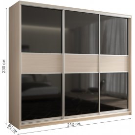 Шкаф-купе Кааппи 12