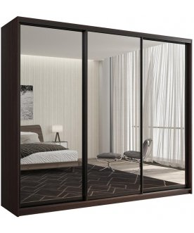 Шкаф-купе Кааппи 1