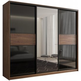 Шкаф-купе Кааппи 9