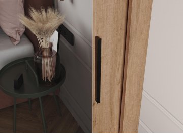 Шкаф-купе Дрим-2 2 м