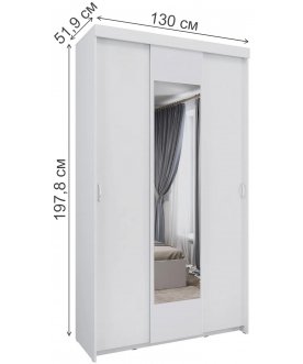 Шкаф-купе Ари-9