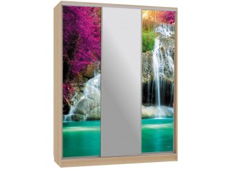 Шкаф-купе Бассо 10-600 49