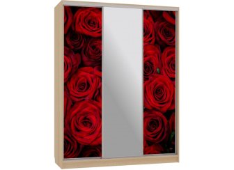 Шкаф-купе Бассо 10-600 89