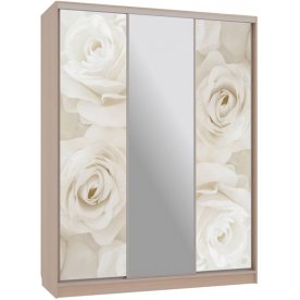 Шкаф-купе Бассо 10-600