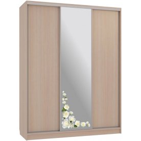 Шкаф-купе Бассо 1-600