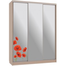 Шкаф-купе Бассо 4-600