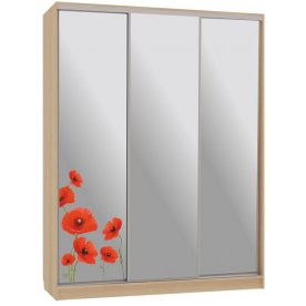 Шкаф-купе Бассо 4-600