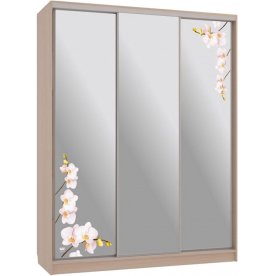 Шкаф-купе Бассо 4-600