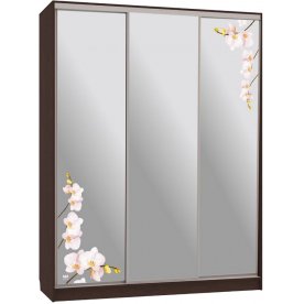 Шкаф-купе Бассо 4-600