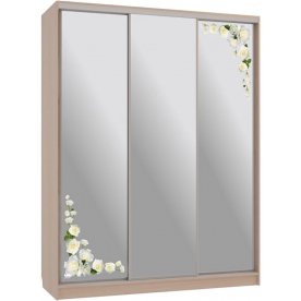 Шкаф-купе Бассо 4-600