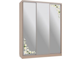 Шкаф-купе Бассо 4-600