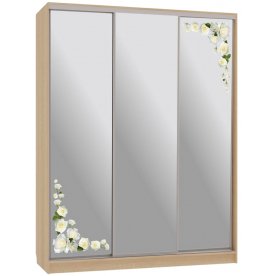 Шкаф-купе Бассо 4-600