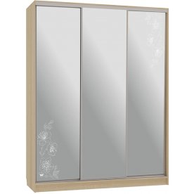 Шкаф-купе Бассо 4-600