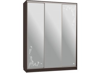 Шкаф-купе Бассо 4-600