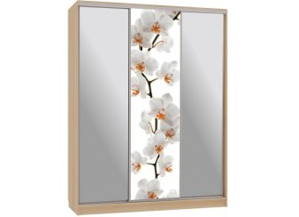 Шкаф-купе Бассо 9-600 83