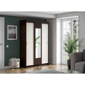 Шкаф-купе Бассо