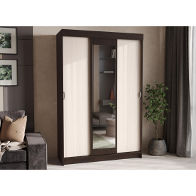 Шкаф-купе Бренди ШКК 551