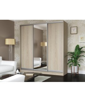 Шкаф-купе Дуэт-3