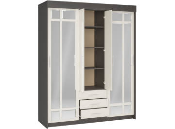 Шкаф-купе Олденс