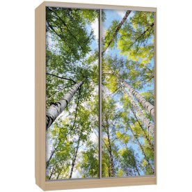 Шкаф-купе Гранд 7-600 57