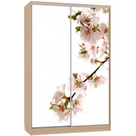 Шкаф-купе Гранд 7-600