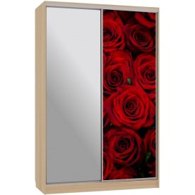 Шкаф-купе Гранд 9-600 89