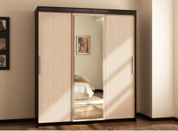 Шкаф-купе арт.012