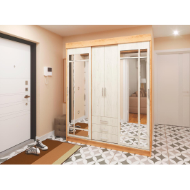 Шкаф-купе Лидер 1К