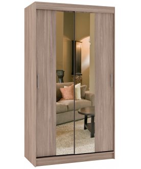 Шкаф-купе Риф 2 ШК.022.1000-23 вариант 4