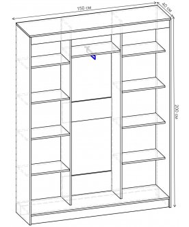 Шкаф-купе Риф 3 ШК.024.1500-01/21 вариант 2