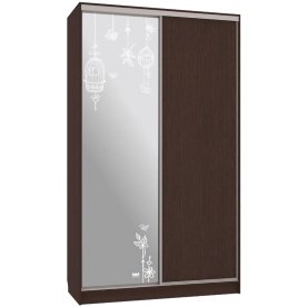 Шкаф-купе Рио 1-600