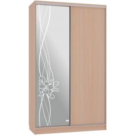 Шкаф-купе Рио 1-600