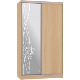 Шкаф-купе Рио 1-600