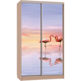 Шкаф-купе Рио 7-600 19