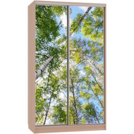 Шкаф-купе Рио 7-600 57